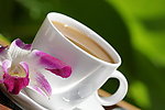 咖啡奶茶