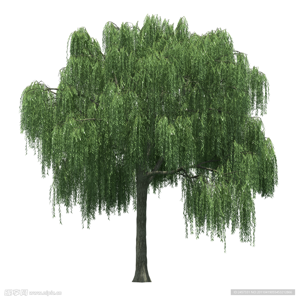 园林树木绿树透明png