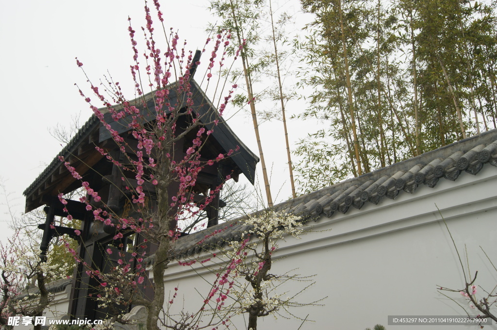 梅花