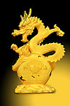 金龙