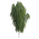 园林绿树树木透明png