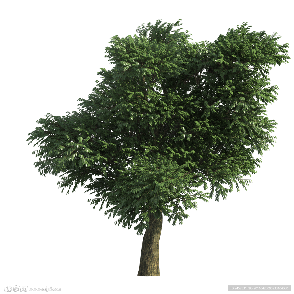 园林绿树树木透明png