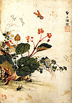 花草小品