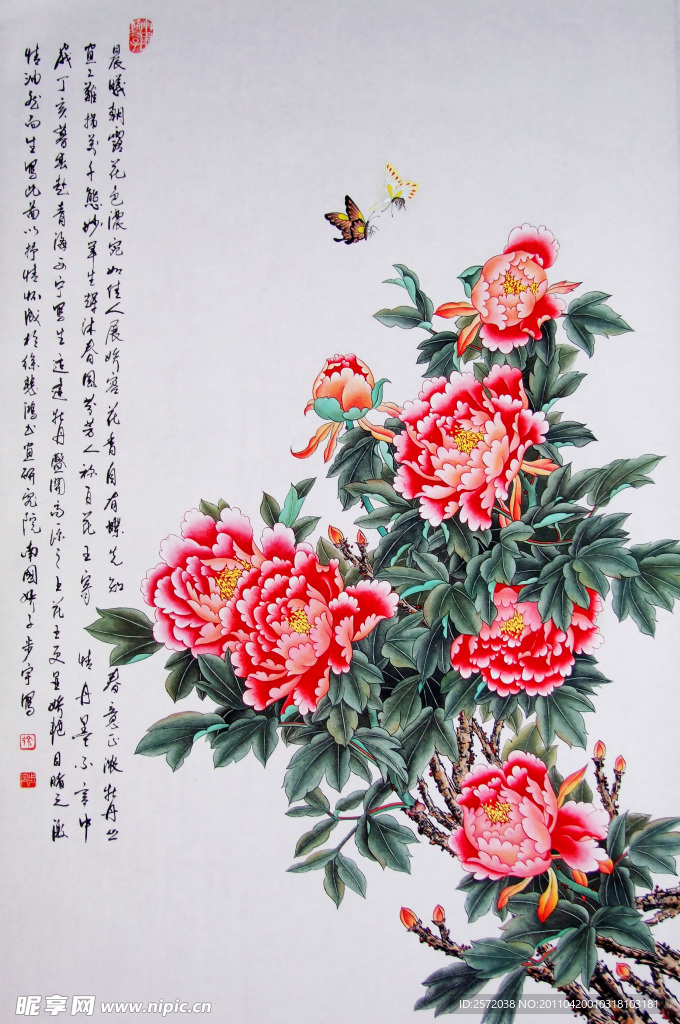 牡丹颂