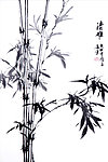 清雅