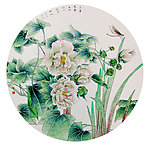 芙蓉蜻蜓