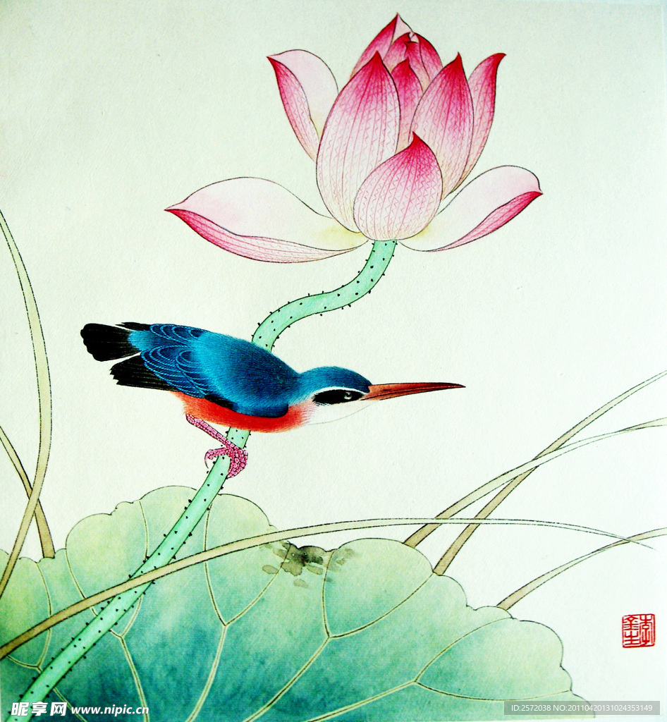 荷花翠鸟