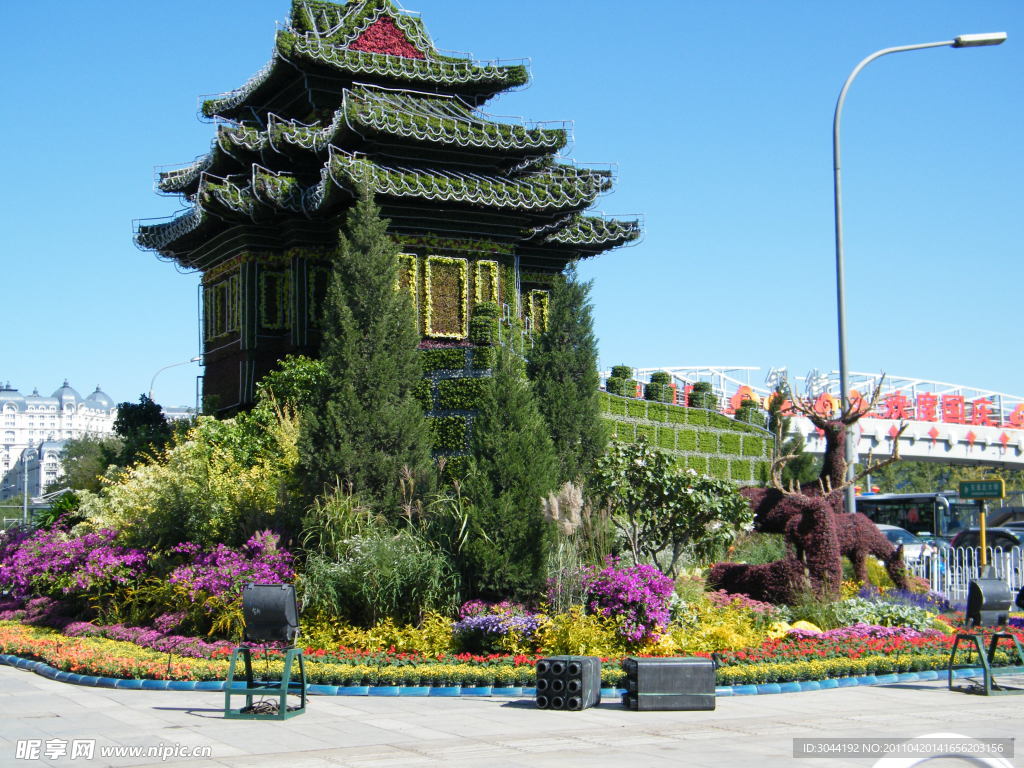 花卉
