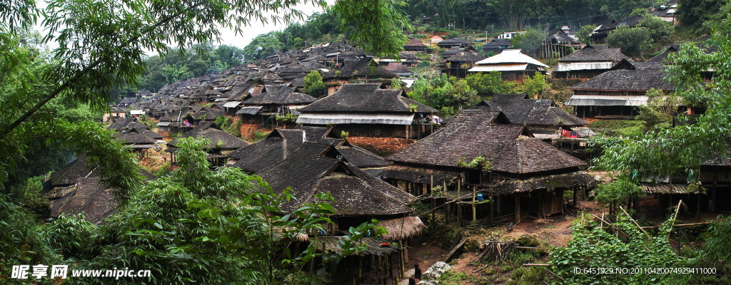 西双版纳 公园风景