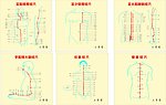 经络穴位图
