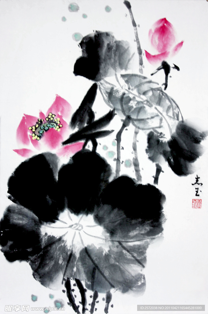 墨荷