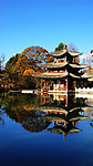 丽江小景