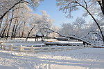 公园雪景