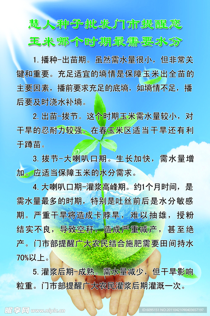种子 展板