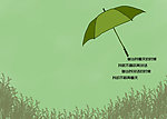 雨伞