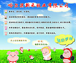 牧业展板