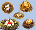 黄金蛋巢高清分层图
