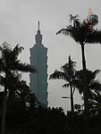 树与塔