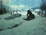 2010上海世博会远大馆模拟雪景