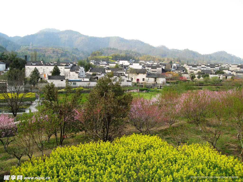 西递春韵