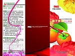 柿子彩页