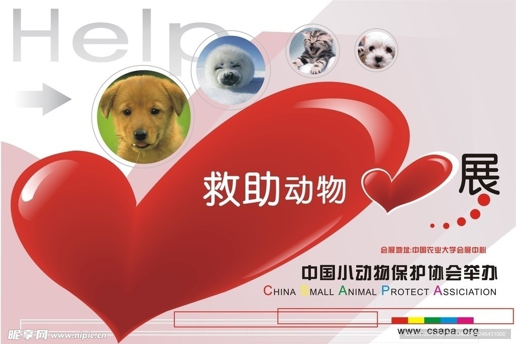 救助动物展