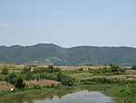 田园风光