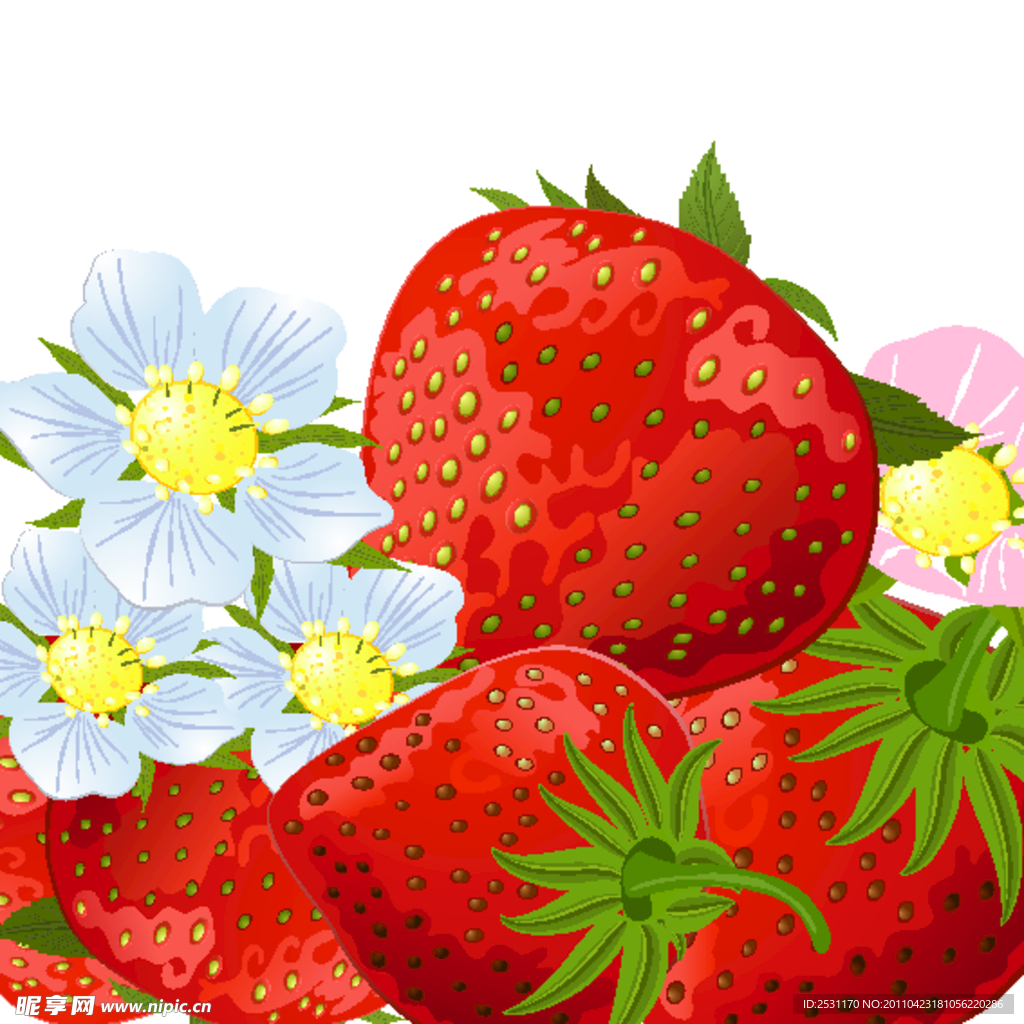 草莓