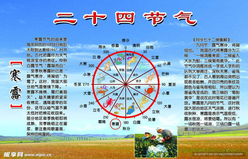 寒露