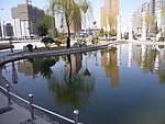 静湖