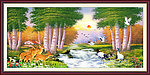 山水风景 白桦林