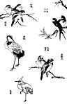 鸟 国画