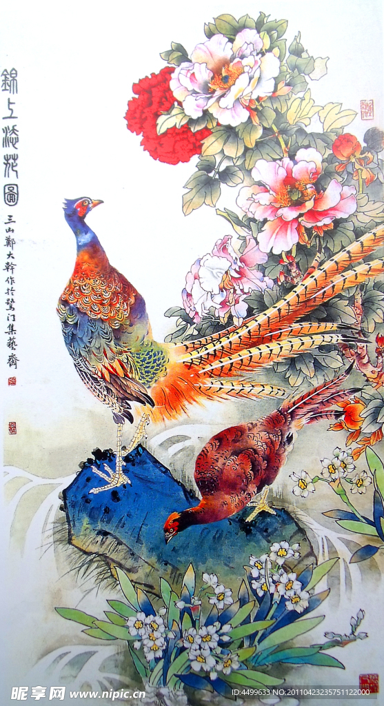 国画 山鸡