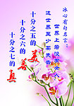 文化展板
