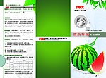 西瓜农业保险彩页