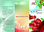 枣农业保险彩页