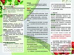 枣农业保险彩页