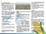 玉米农业保险彩页