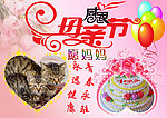 感恩母亲节