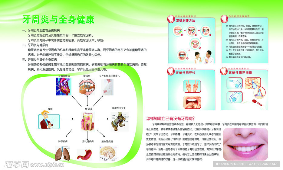 牙周炎与全身健康