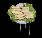 菜卷