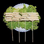 菜卷