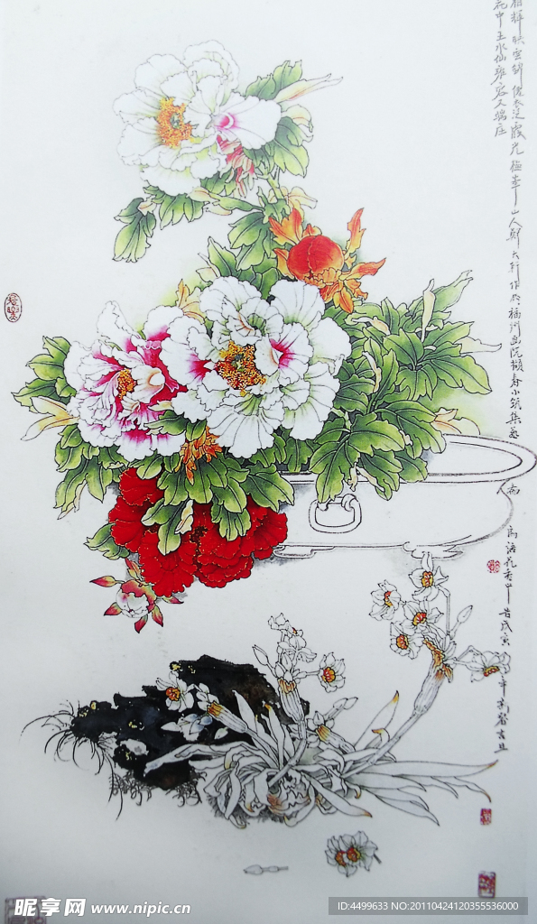 国画 芙蓉花