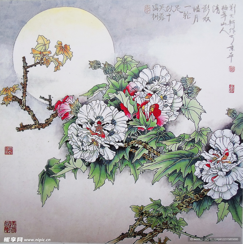 芙蓉满树