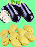 蔬菜