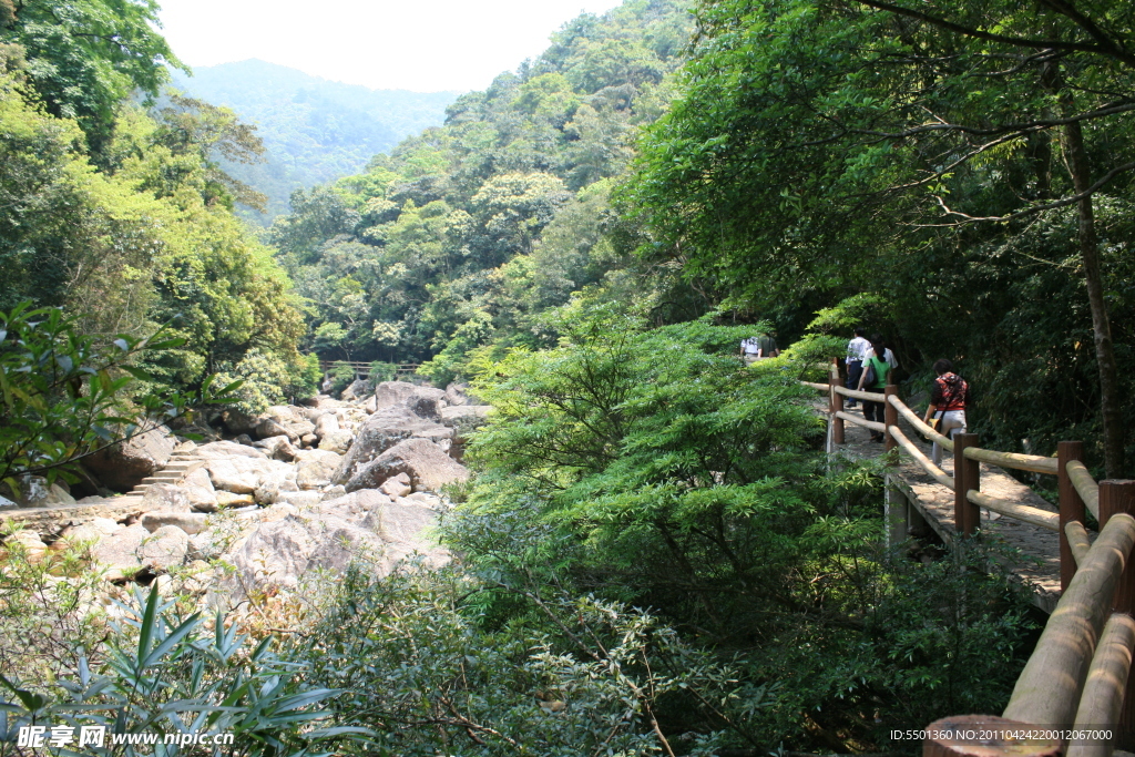 十万大山风景