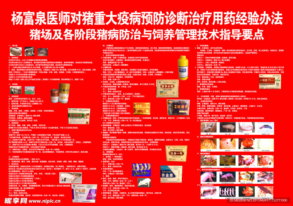 养猪常见病的防治