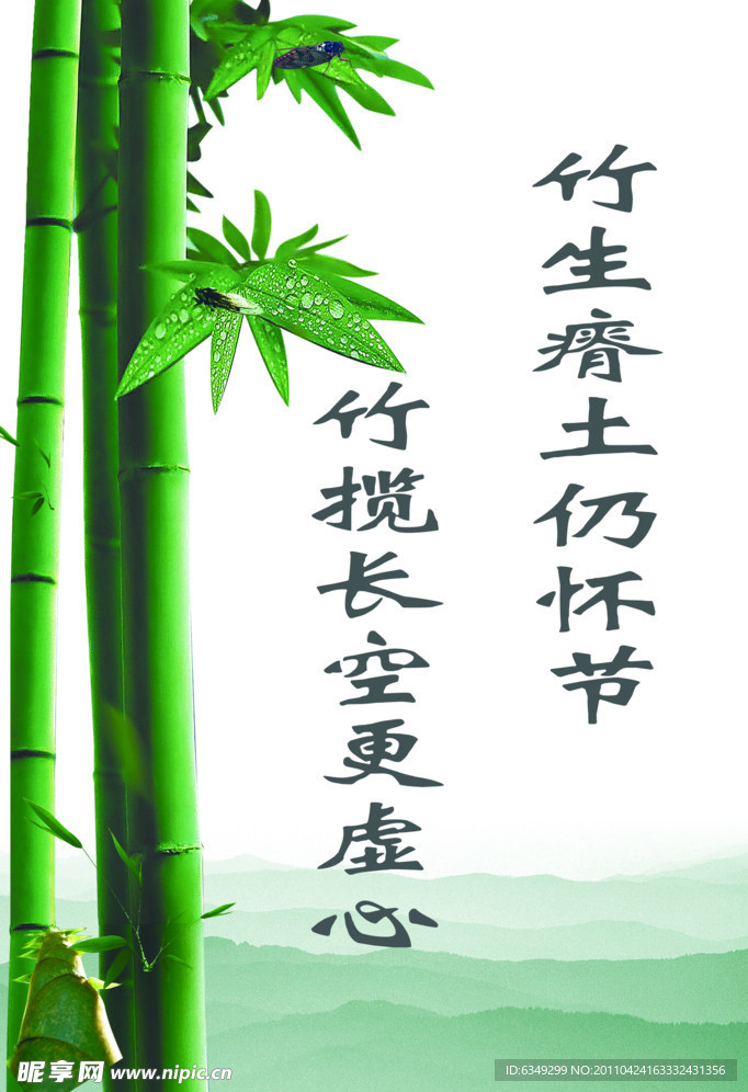 竹览长空