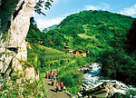 青山绿水