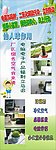 仙人球X架